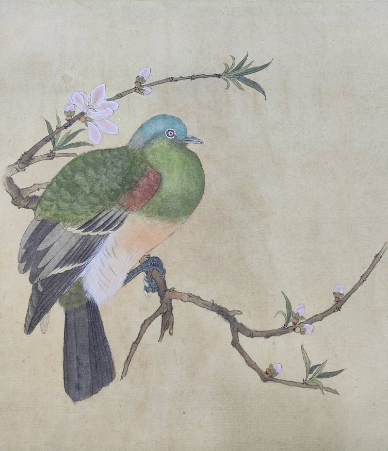 劉蘇瑩   指導(dǎo)教師：黃玉蘭